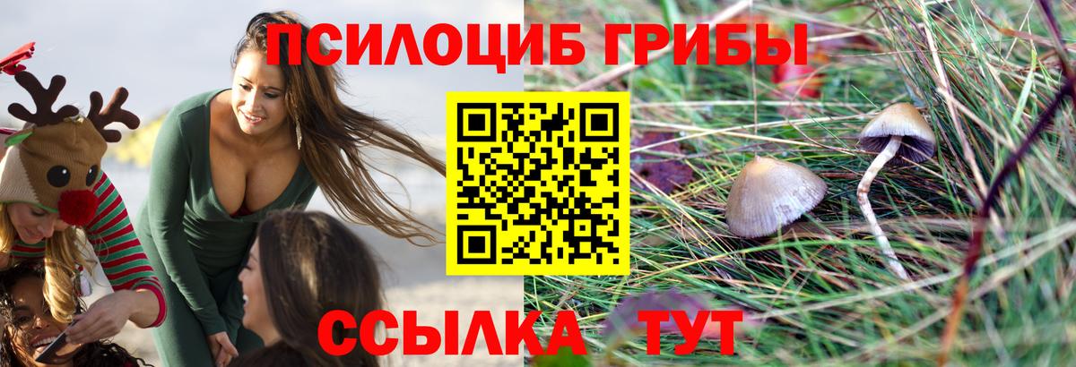 Псилоцибиновые грибы GOLDEN TEACHER  Псилоцибиновые грибы Magic Shrooms  Вход с VPN  Люберцы 